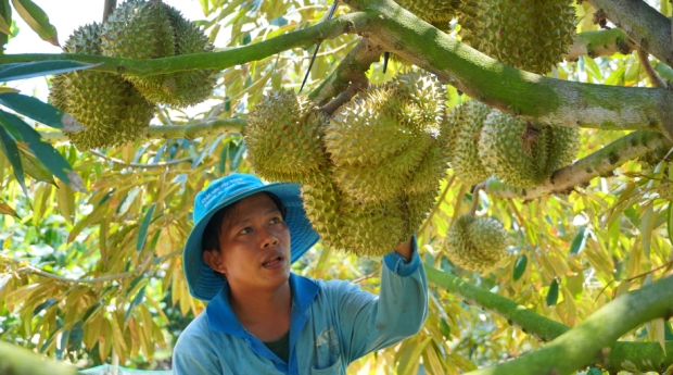 VTNN TRẦN MINH HÙNG